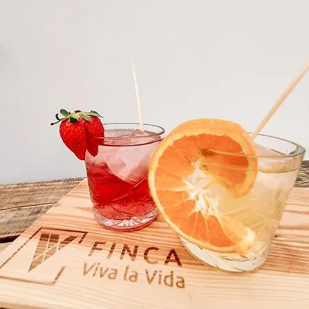 Viva La Vida Álora