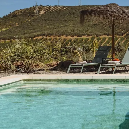Viva La Vida Bed and breakfast