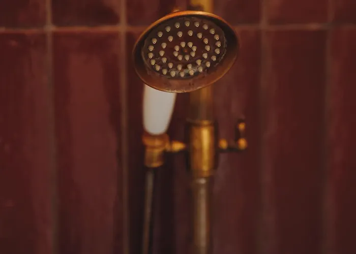 Bed & Breakfast Viva La Vida